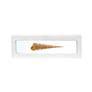 Matte Paper Bracelet Display Box