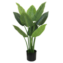 Aureum Bonsai Faux Leaves Plant in Plastic Pot