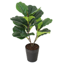 Artificial Fiddle Fig Tree - Greenery Accent