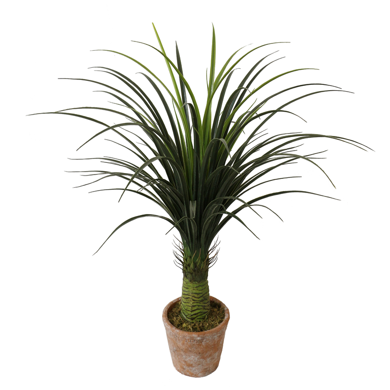 Large Artificial Dracaena Tree - Statement Piece for Any Space