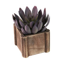 Lifelike Plant in Rustic Wooden Pot