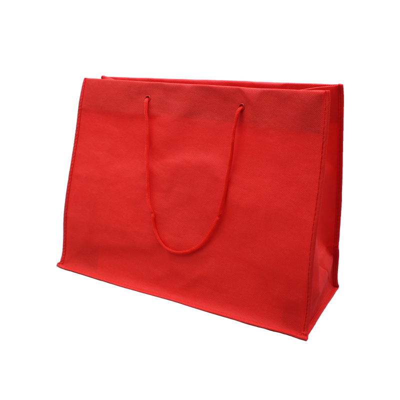 Nonwoven Bag with Rope Handles