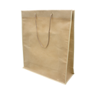 Nonwoven Bag with Rope Handles