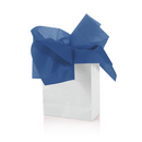 Solid Colored Tissue Paper