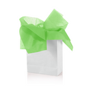 Solid Colored Tissue Paper