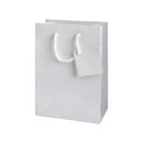 Laminated Glossy Euro Tote Paper Bags