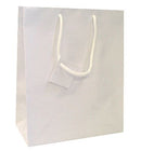 Laminated Glossy Euro Tote Paper Bags