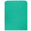 Colored Flat Paper Merchandise Bag