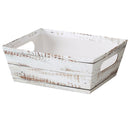 Printed Market Trays