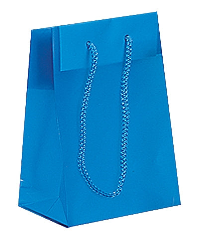 Frosted Plastic Bag with Rope Handles