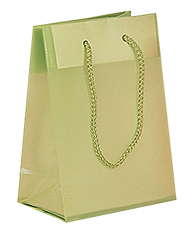 Frosted Plastic Bag with Rope Handles