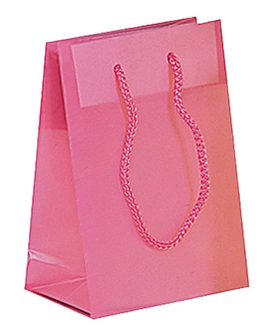 Frosted Plastic Bag with Rope Handles