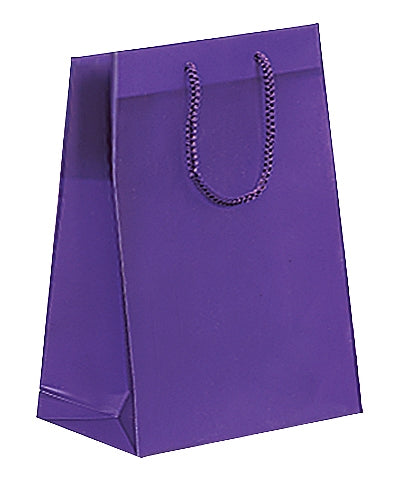 Frosted Plastic Bag with Rope Handles