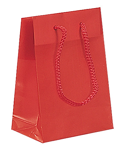 Frosted Plastic Bag with Rope Handles