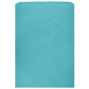 Colored Flat Paper Merchandise Bag