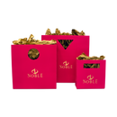 Mod Bag with Die Cut Handles