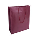 Nonwoven Bag with Rope Handles