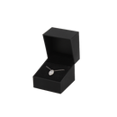 The Pompeii Universal Jewellery Box