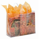 Frosted Plastic Shopping Bag