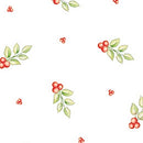 Holidays and Occasions Cellophane Rolls