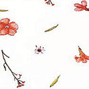 Floral Cellophane Roll