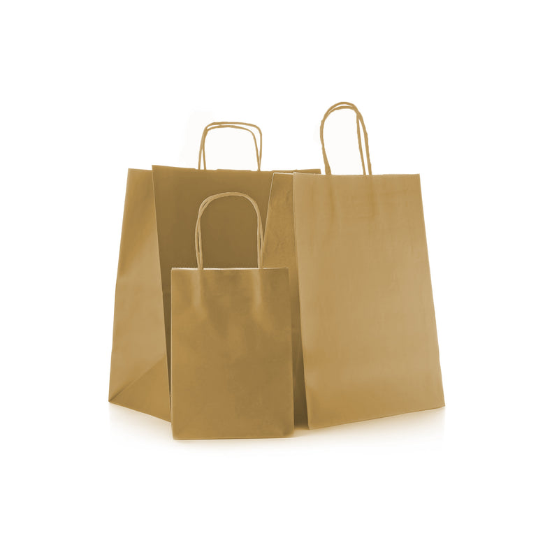Combo Pack! Paper Bags with Twisted Paper Handles
