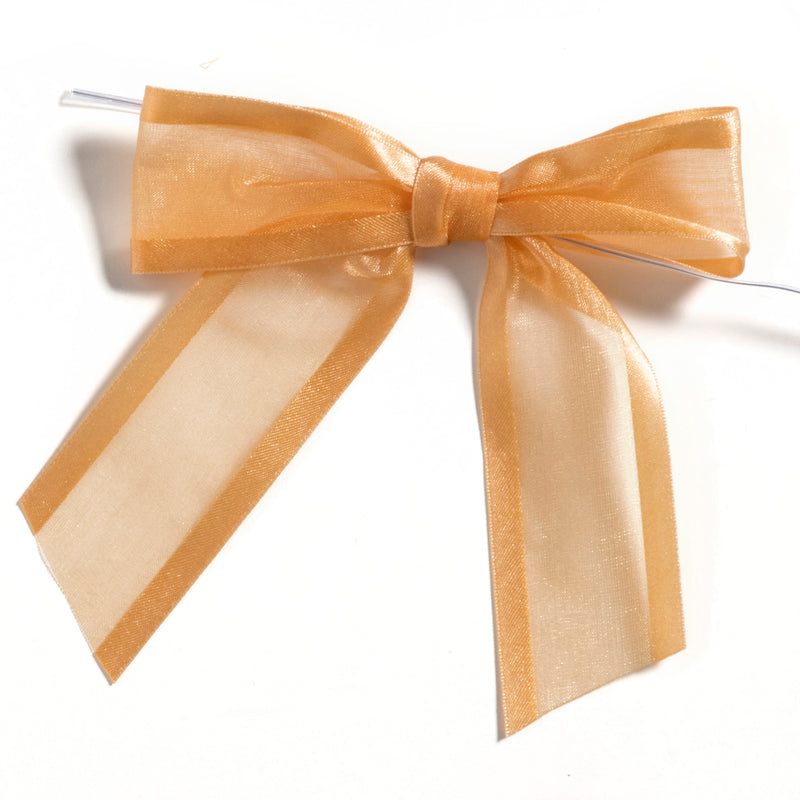 Organza Satin-Edged Bow with Twist Tie