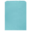 Colored Flat Paper Merchandise Bag