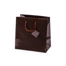 Laminated Glossy Euro Tote Paper Bags
