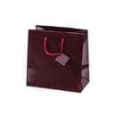 Laminated Glossy Euro Tote Paper Bags