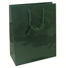 Laminated Glossy Euro Tote Paper Bags
