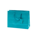 Laminated Glossy Euro Tote Paper Bags