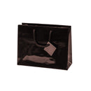 Laminated Glossy Euro Tote Paper Bags
