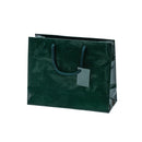 Laminated Glossy Euro Tote Paper Bags