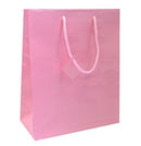 Laminated Glossy Euro Tote Paper Bags