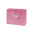 Laminated Glossy Euro Tote Paper Bags