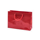 Laminated Glossy Euro Tote Paper Bags