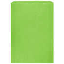 Colored Flat Paper Merchandise Bag