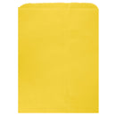 Colored Flat Paper Merchandise Bag