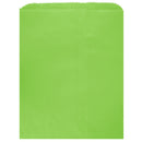 Colored Flat Paper Merchandise Bag