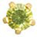 Regular Tiffany August