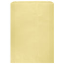 Colored Flat Paper Merchandise Bag