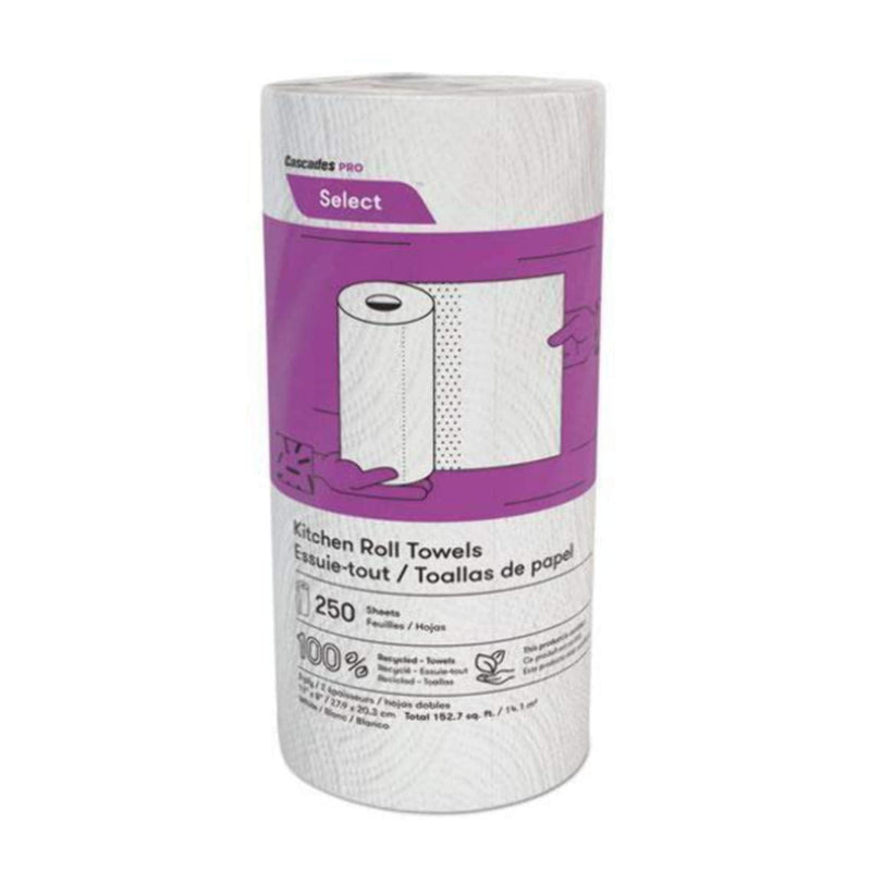 Sanitary Paper Towel Roll, 250 Sheets