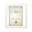 Matte Paper Large Set Display Box