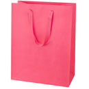 Manhattan Collection Twill Handle Paper Bag