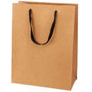 Manhattan Collection Twill Handle Paper Bag
