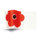 Botanicals and Special Occasion Printed Tissue Paper