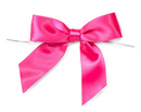 Satin Pre-Tied Bow