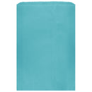 Colored Flat Paper Merchandise Bag