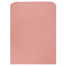 Colored Flat Paper Merchandise Bag